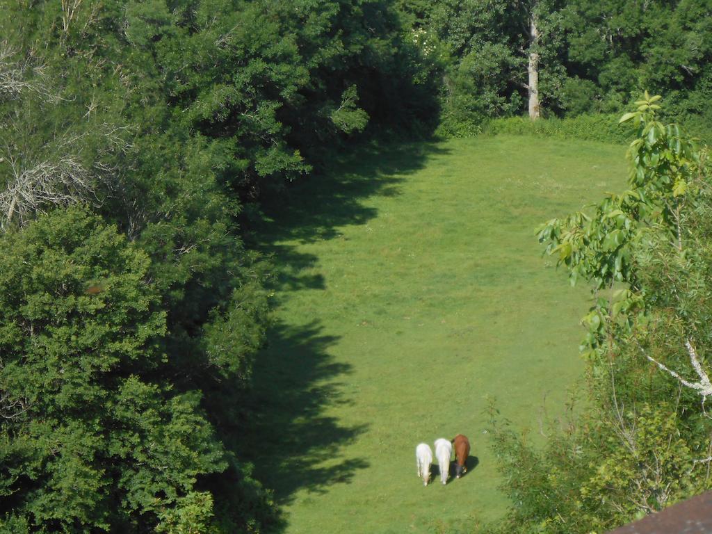 Agroturismo D'hotes Cugnac *